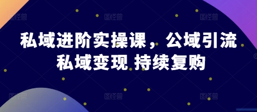 私域进阶实操课，公域引流 私域变现 持续复购-卿云社