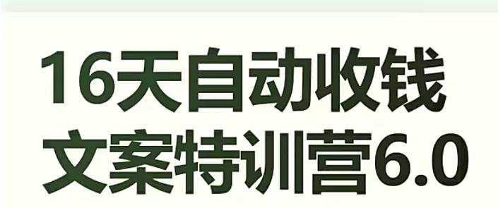 16天自动收钱文案特训营6.0，学会儿每天自动咔咔收钱-卿云社