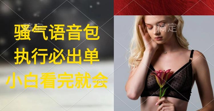 (9589期)执行就出单，日入2000+，超火骚气语音包，小白看完课程就能马上实操-卿云社