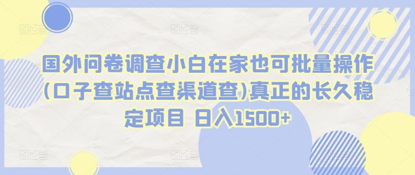 国外问卷调查小白在家也可批量操作(口子查站点查渠道查)真正的长久稳定项目 日入1500+【揭秘】-卿云社