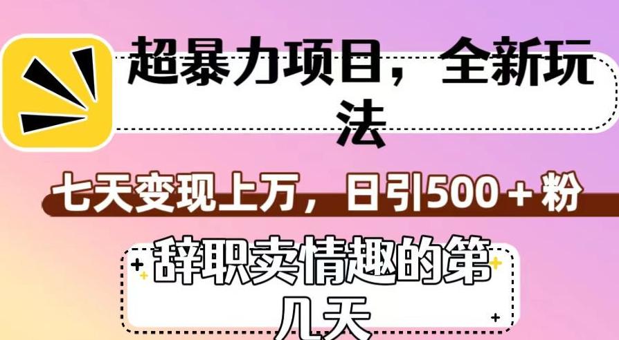 超暴利项目，全新玩法（辞职卖情趣的第几天），七天变现上万，日引500+粉【揭秘】-卿云社