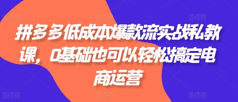 拼多多低成本爆款流实战私教课，0基础也可以轻松搞定电商运营-卿云社