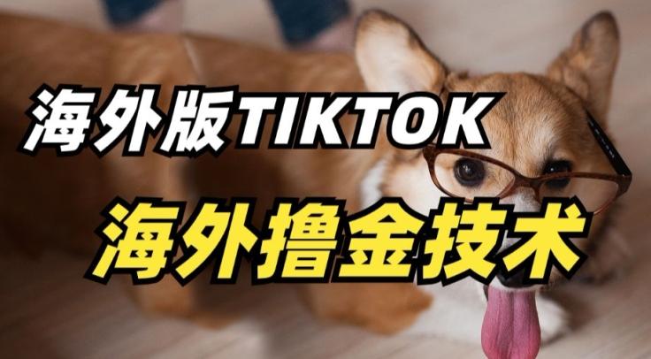 抖音海外版tiktok撸金技术，这个风口行业，赚钱真的不难【揭秘】-卿云社