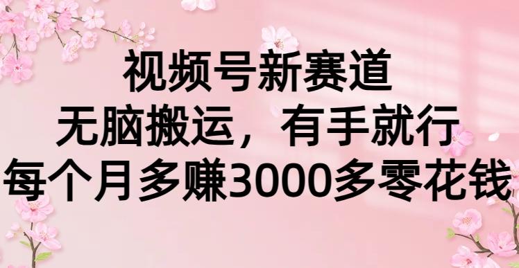 (9278期)视频号新赛道，无脑搬运，有手就行，每个月多赚3000多零花钱-卿云社
