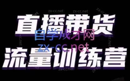 婉婉·直播带货课程系列合集(更新8月)-卿云社
