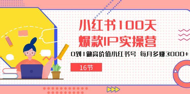 小红书100天-爆款IP实操营，0到1做高价值小红书号 每月多赚3000+(16节-卿云社