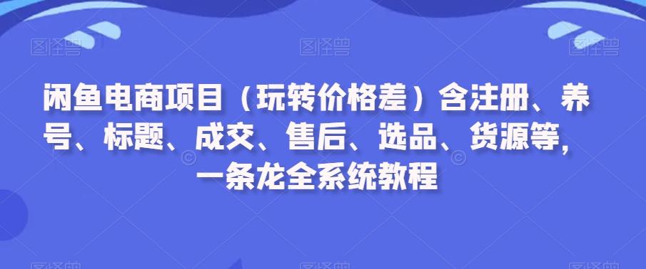 闲鱼电商项目(玩转价格差)含注册、养号、标题、成交、售后、选品、货源等，一条龙全系统教程-卿云社