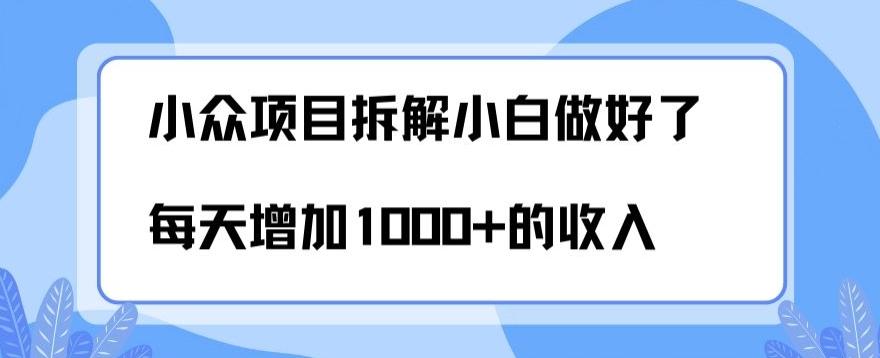 小众项目拆解，小白做好了每天可增加1000多的收入-卿云社