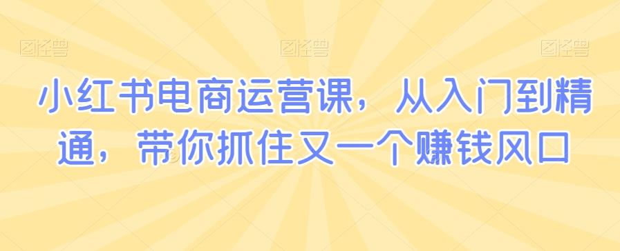 小红书电商运营课，从入门到精通，带你抓住又一个赚钱风口-卿云社