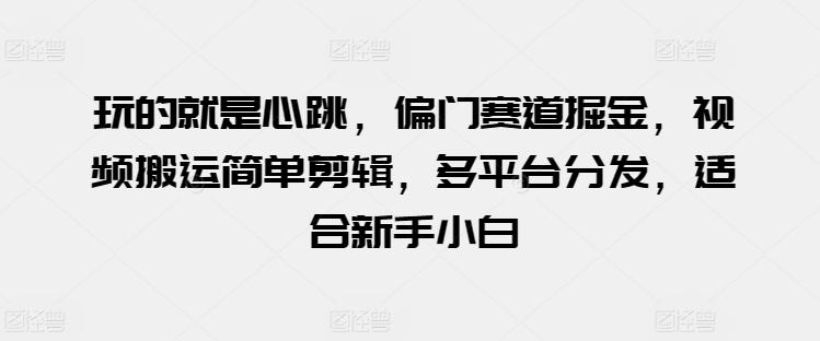 玩的就是心跳，偏门赛道掘金，视频搬运简单剪辑，多平台分发，适合新手小白【揭秘】-卿云社