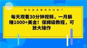 每天观看30分钟视频，一月躺赚1000+美金！保姆级教程，可放大操作【揭秘】-卿云社