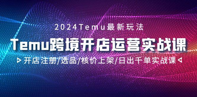 2024Temu跨境开店运营实战课，开店注册/选品/核价上架/日出千单实战课-卿云社