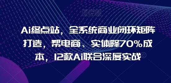 Ai终点站，全系统商业闭环矩阵打造，帮电商、实体降70%成本，12款Ai联合深度实战-卿云社