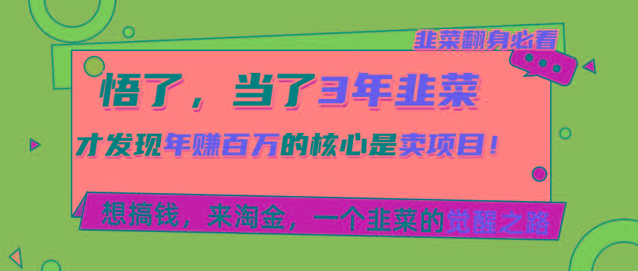 悟了，当了3年韭菜，才发现网赚圈年赚100万的核心是卖项目，含泪分享！-卿云社