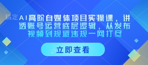 AI高阶自媒体项目实操课，讲透账号运营底层逻辑，从发布视频到规避违规一网打尽-卿云社