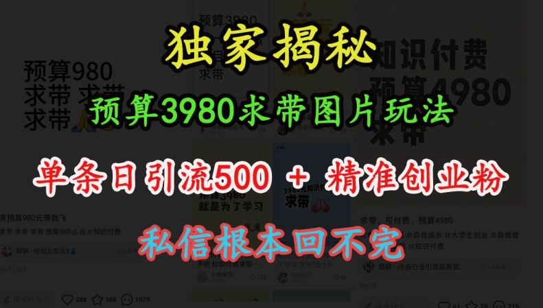 预算3980求带 图片玩法，单条日引流500+精准创业粉，私信根本回不完-卿云社