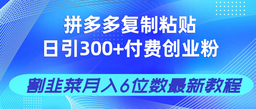 拼多多复制粘贴日引300+付费创业粉，割韭菜月入6位数最新教程！-卿云社