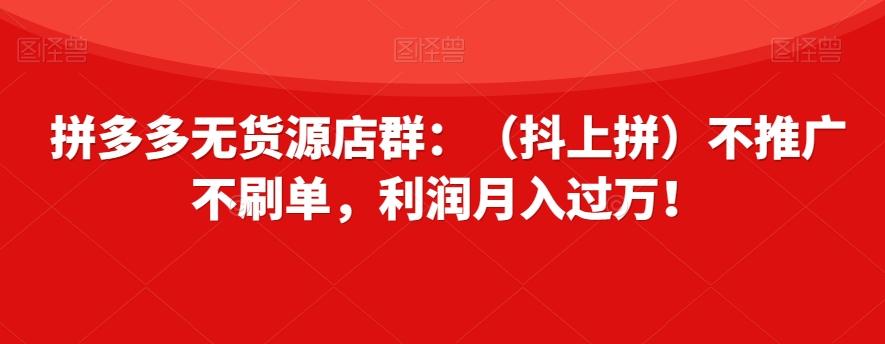 拼多多无货源店群：（抖上拼）不推广不刷单，利润月入过万！【揭秘】-卿云社