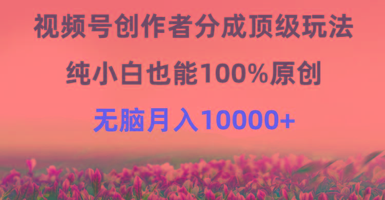 (9608期)视频号创作者分成顶级玩法，纯小白也能100%原创，无脑月入10000+-卿云社