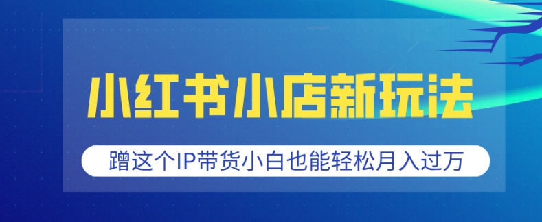 小红书小店新玩法，蹭这个IP带货，小白也能轻松月入过W【揭秘】-卿云社