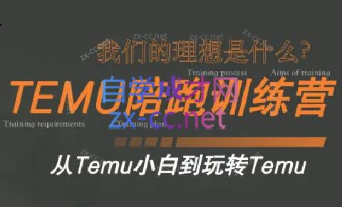 苗苗·拼多多跨境（temu）课程-卿云社