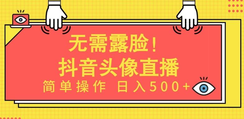 无需露脸，Ai头像直播项目，简单操作日入500+【揭秘】-卿云社