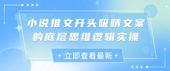 小说推文开头吸睛文案的底层思维逻辑实操-卿云社