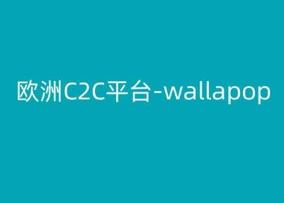 欧洲C2C平台-wallapop-kim跨境电商教程-卿云社