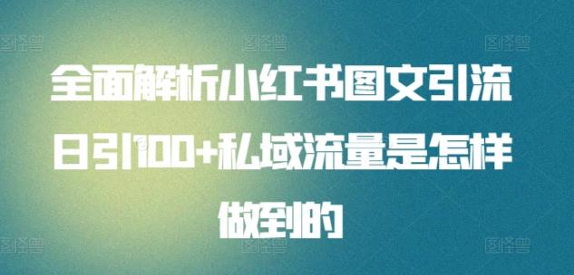 全面解析小红书图文引流日引100+私域流量是怎样做到的【揭秘】-卿云社