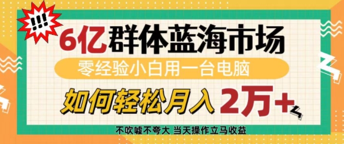 6亿群体蓝海市场，零经验小白用一台电脑，如何轻松月入过w【揭秘】-卿云社