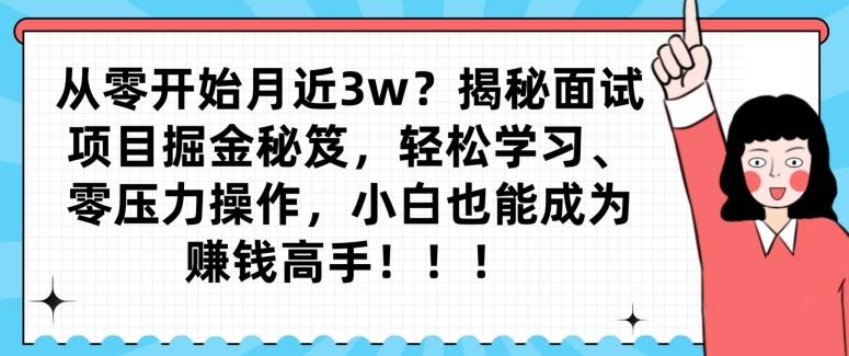 从零开始月近3w？揭秘面试项目掘金秘笈，轻松学习、零压力操作，小白也能成为赚钱高手-卿云社