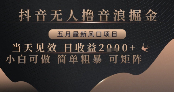抖音无人撸音浪掘金，五月最新风口项目，当天见效，日收益多张，小白可做简单粗暴可矩阵【揭秘】-卿云社