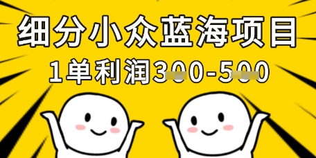 细分小众蓝海项目，一单利润3张，每月收入稳定过1w+-卿云社