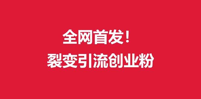 (全网首发)外面收费几千的裂变引流高质量创业粉-卿云社