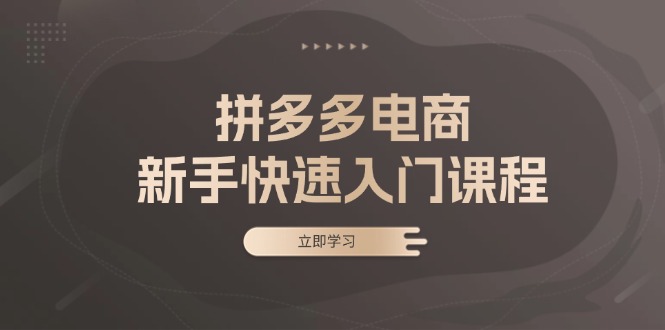 拼多多电商新手快速入门课程：涵盖基础、实战与选款，助力小白轻松上手-卿云社