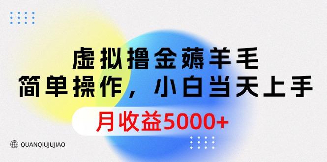 (9864期)虚拟撸金薅羊毛，简单操作，小白当天上手，月收益5000+-卿云社