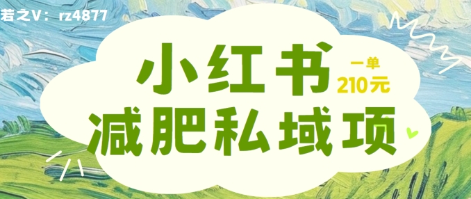小红书减肥粉，私域变现项目，一单就达210元，小白也能轻松上手【揭秘】-卿云社