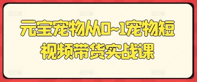 元宝宠物从0~1宠物短视频带货实战课-卿云社