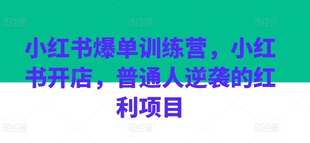 小红书爆单训练营，小红书开店，普通人逆袭的红利项目-卿云社