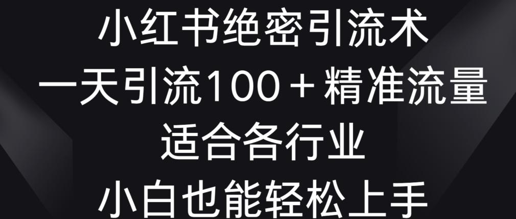小红书绝密引流术，一天引流100+精准流量，适合各个行业，小白也能轻松上手【揭秘】-卿云社