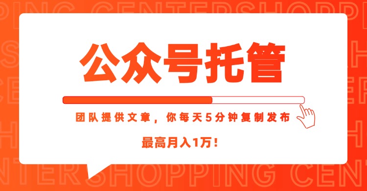 【公众号托管 】我提供文章，你每天５分钟复制发布，最高月入1W-卿云社