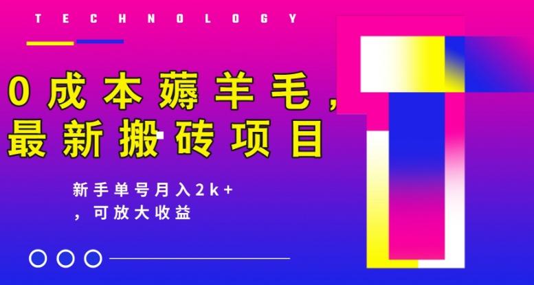 0成本薅羊毛，最新搬砖项目，新手单号月入2k+，可放大操作-卿云社