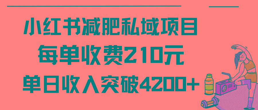 (9466期)小红书减肥私域项目每单收费210元单日成交20单，最高日入4200+-卿云社