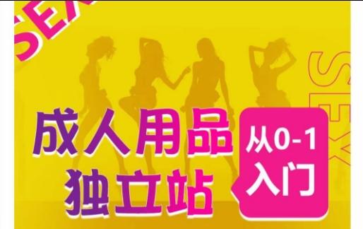 成人用品独立站从0-1入门，成品独立站运营全流程教学，七大好卖成品独立站推荐-卿云社
