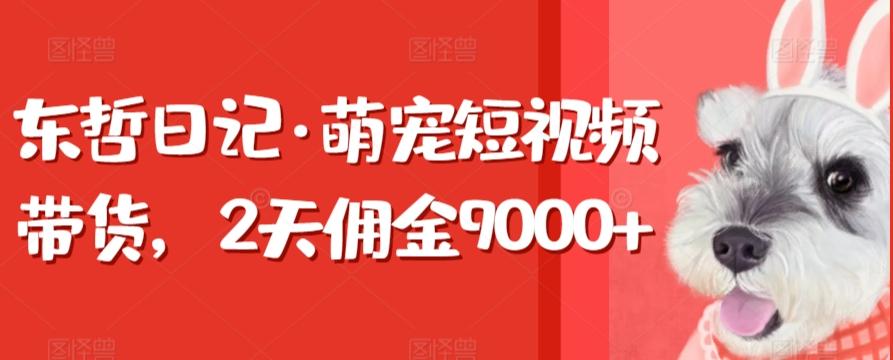 东哲日记·萌宠短视频带货，2天佣金9000+-卿云社