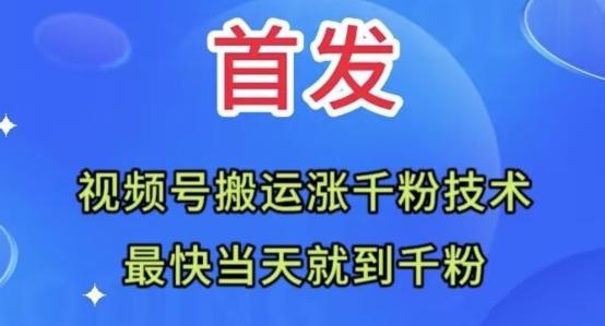 全网首发：视频号无脑搬运涨千粉技术，最快当天到千粉【揭秘】-卿云社