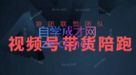 狼团联盟·2024视频号带货-卿云社