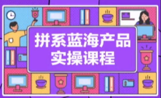 拼系冷门蓝海产品实操课程，从注册店铺到选品上架到流量维护环环相扣-卿云社