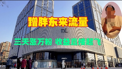 蹭胖东来流量，三天涨万粉，收益直接起飞-卿云社