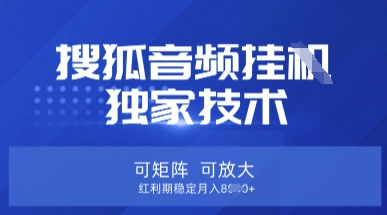 【搜狐音频挂G】独家技术，可矩阵可放大，红利期稳定月入8k【揭秘】-卿云社